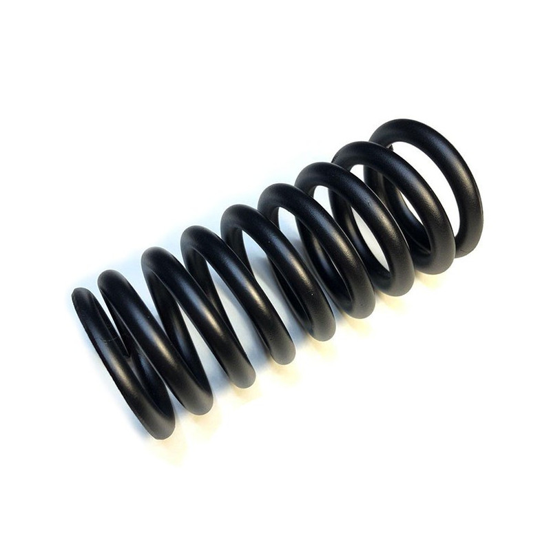 Spring for rear suspension