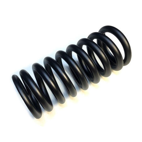 Spring for rear suspension