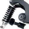 Spring for rear suspension